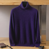 VERONA® Men's Turtleneck Sweater