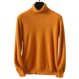 VERONA® Men's Turtleneck Sweater