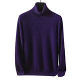 VERONA® Men's Turtleneck Sweater