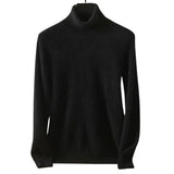 VERONA® Men's Turtleneck Sweater